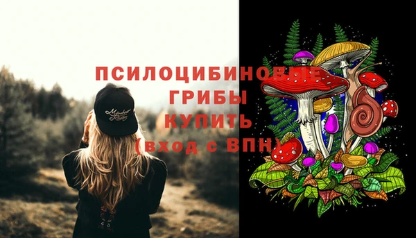ешки Армянск